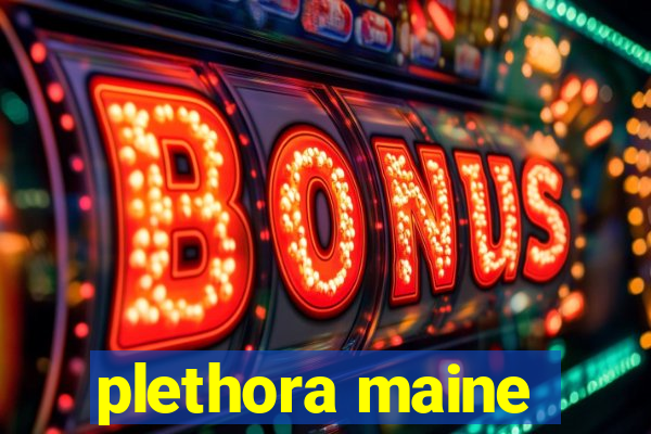 plethora maine