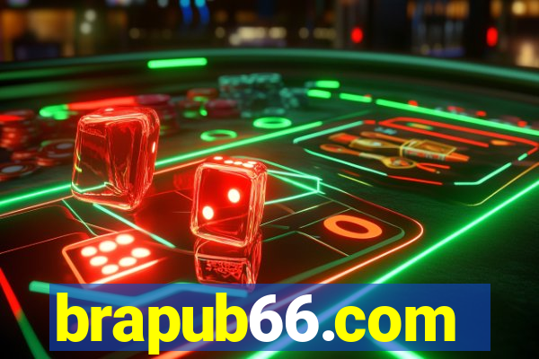 brapub66.com