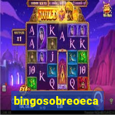 bingosobreoeca