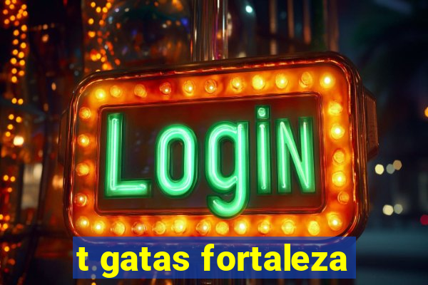 t gatas fortaleza