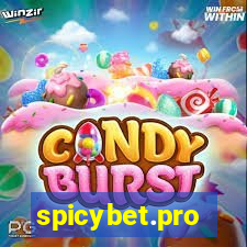 spicybet.pro